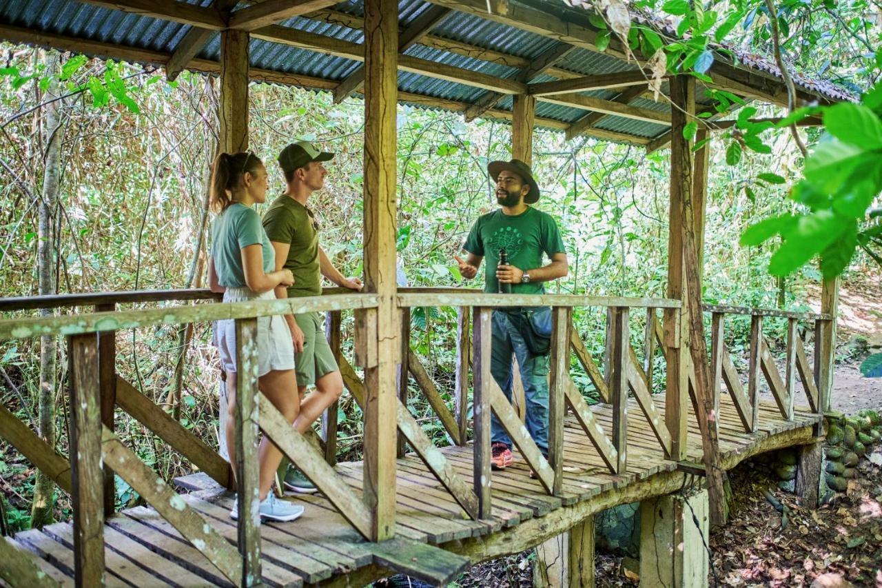 Finca Luna Nueva Lodge La Fortuna Bagian luar foto