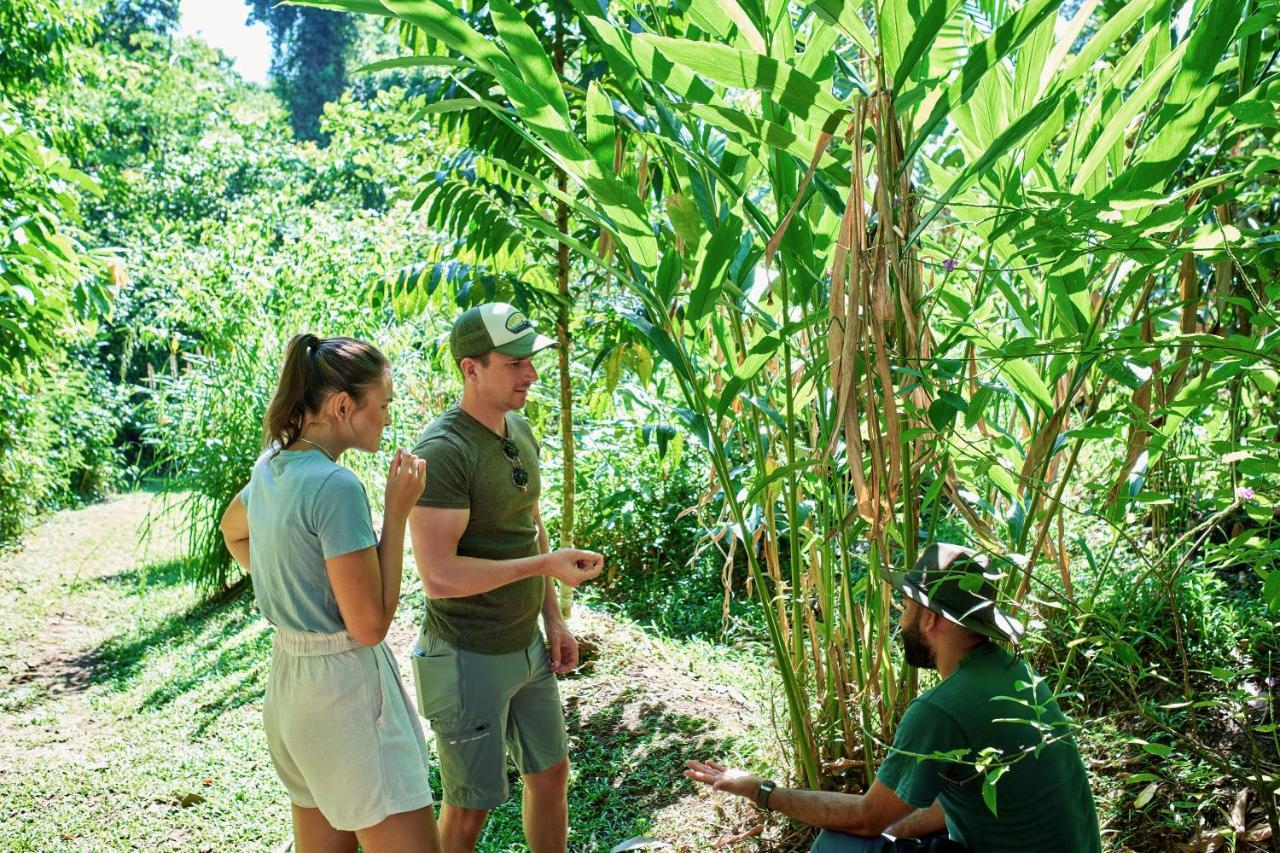 Finca Luna Nueva Lodge La Fortuna Bagian luar foto
