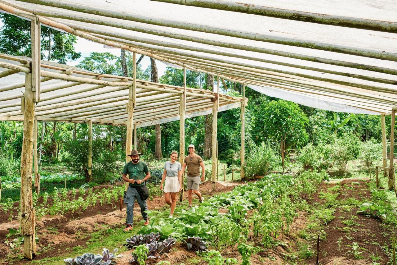 Finca Luna Nueva Lodge La Fortuna Bagian luar foto