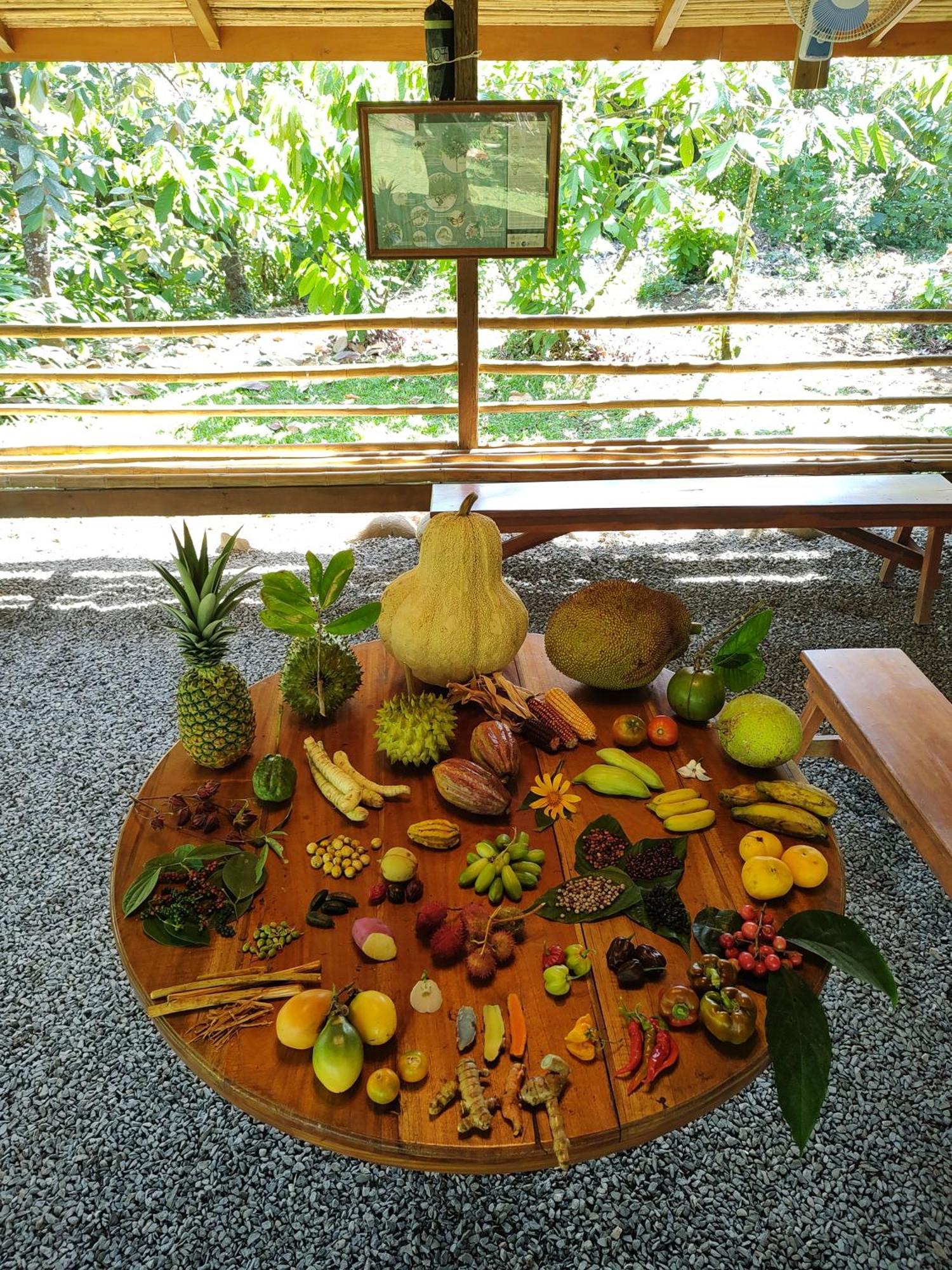 Finca Luna Nueva Lodge La Fortuna Bagian luar foto